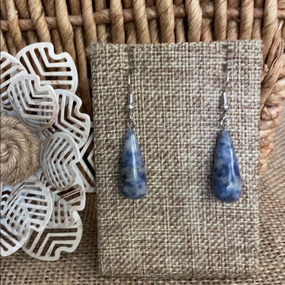 The Metal Daisy Jewelry - Sodalite Drop Stone Earrings